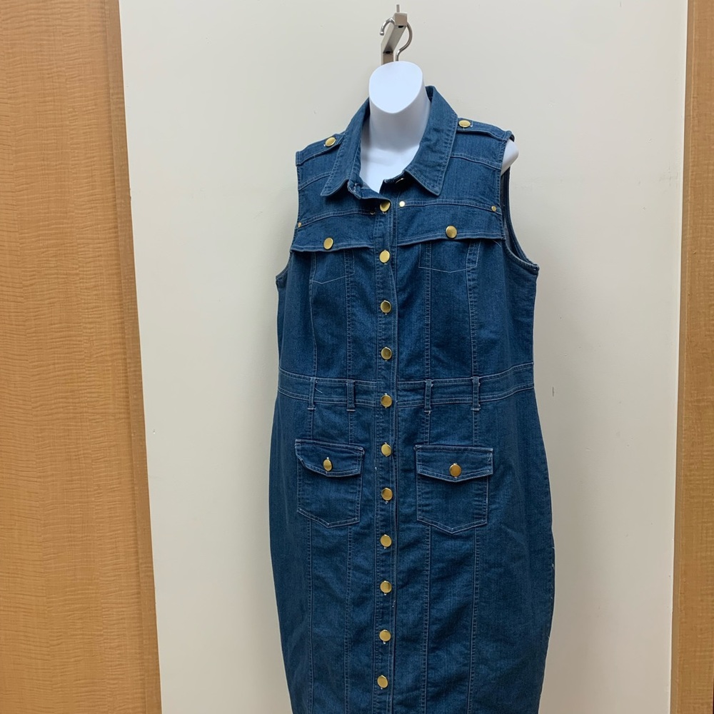 Askley Stewart Jean Dress